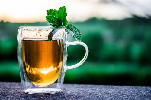 mint tea for health